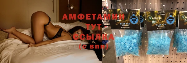 твердый Аркадак