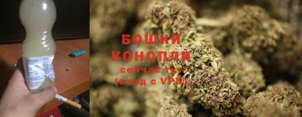 амф Арсеньев