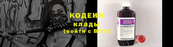 амф Арсеньев