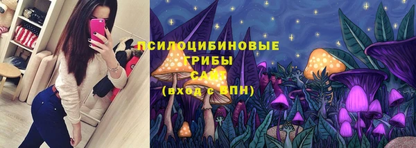 прущая мука Армянск