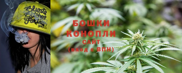 твердый Аркадак