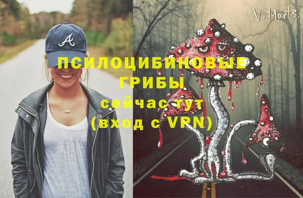 амф Арсеньев