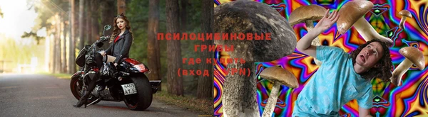 прущая мука Армянск